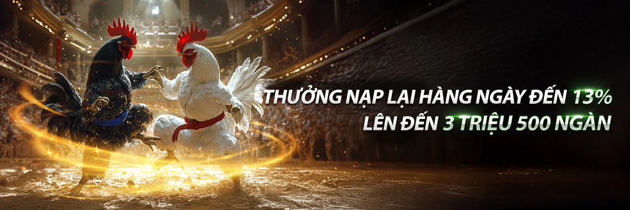 Đá gà trực tuyến kịch tính tại 58k